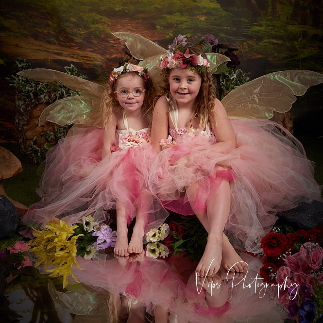 Fairy experience image